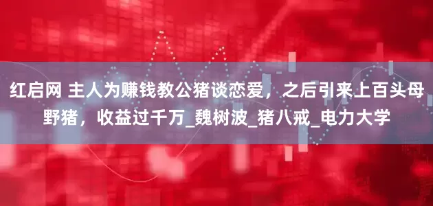 红启网 主人为赚钱教公猪谈恋爱，之后引来上百头母野猪，收益过千万_魏树波_猪八戒_电力大学