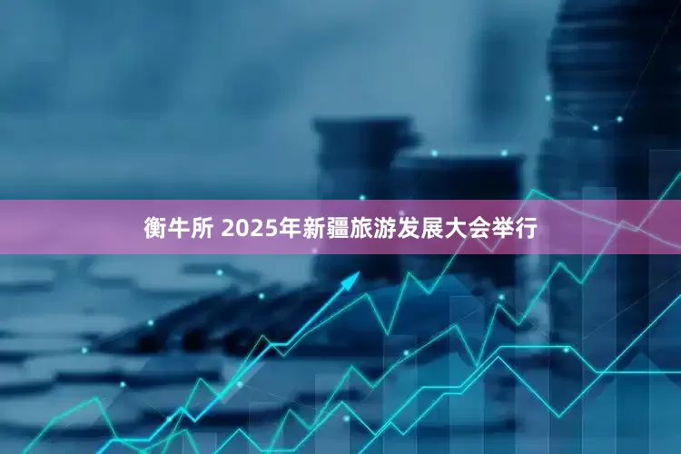衡牛所 2025年新疆旅游发展大会举行