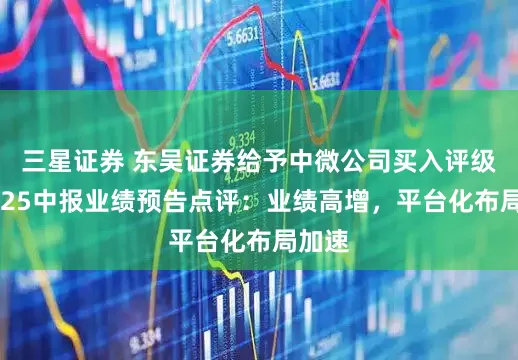 三星证券 东吴证券给予中微公司买入评级，2025中报业绩预告点评：业绩高增，平台化布局加速