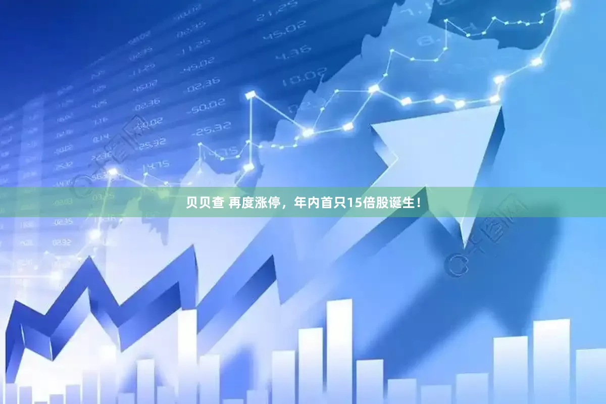 贝贝查 再度涨停，年内首只15倍股诞生！